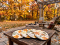 Autumn Coasters